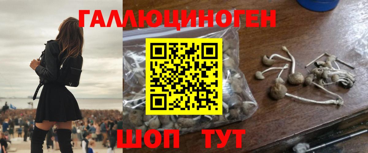 Галлюциногенные грибы GOLDEN TEACHER  Псилоцибиновые грибы прущие грибы  Нефтеюганск  Вход с VPN 